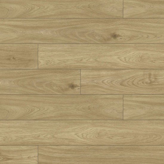 Fuzion Atlantis - Petra Fuzion Atlantis - Petra